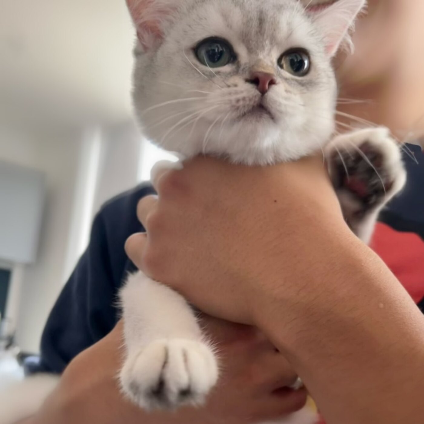 Miyuki looking at the camera while being held